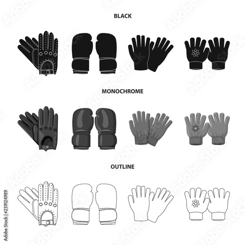 Vector illustration of glove and winter icon. Set of glove and equipment stock symbol for web.