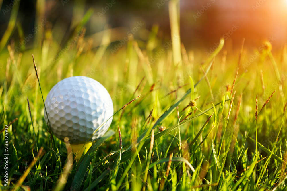 Golf ball on tee in beautiful golf course at sunset background. Golf ball on tee in beautiful golf course at sunset background.