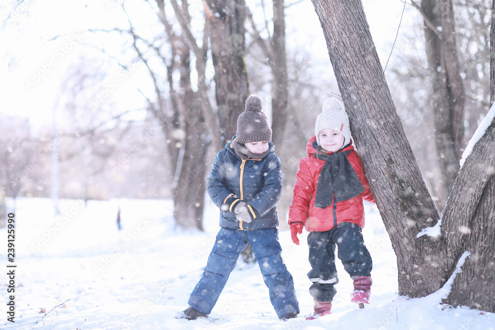 children feed birds in the park