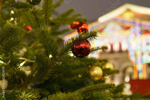 Photography The branch of Christmas tree at the city street