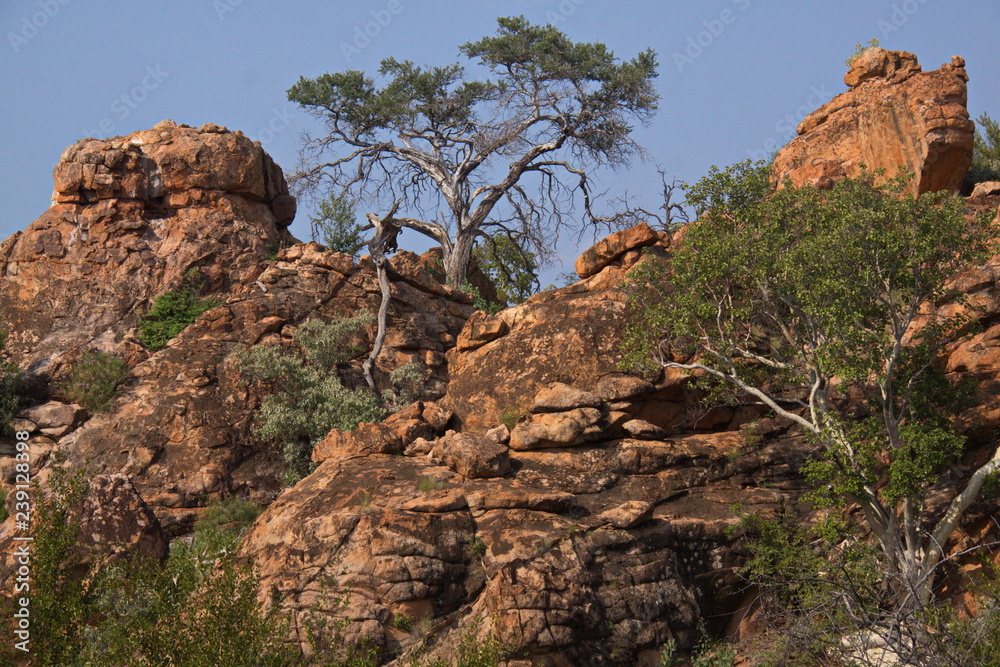 Rocks at Kaoxa Rock Art Shelter in South Africa