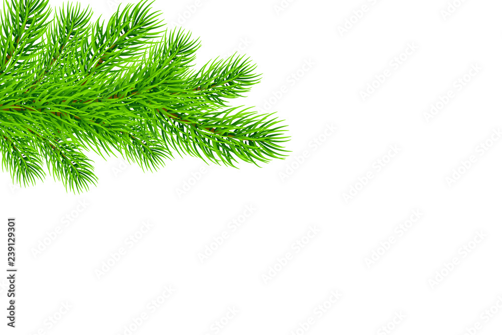 Holiday Christmas frame with fir tree branches. Template for a banner, poster, invitation Holiday Christmas frame with fir tree branches. Template for a banner, poster, invitation