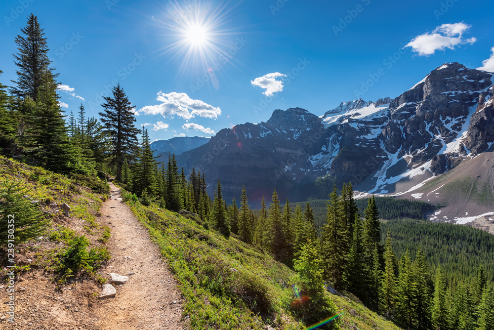 Amazing view of touristic trail in the Rocky Mountains. The trail in mountains near Moraine lake in Canadian Rockies, Banff National Park, Canada. - obrazy, fototapety, plakaty 