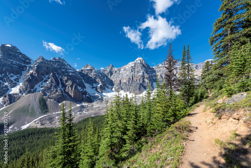 Touristic trail in the in Canadian Rockies, Banff National Park, Canada.