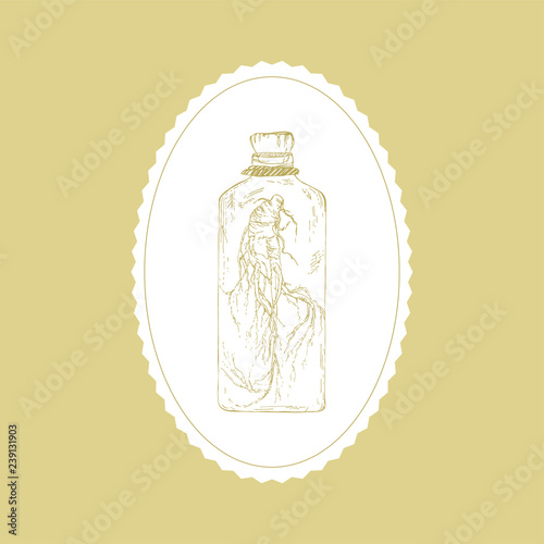 ПечатьTincture of ginseng root. Korean ginseng. Medicinal plant. Korean folk medicine. Therapeutic tincture of the Panax root.