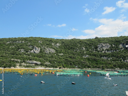 Oyster farms. Europe Croatia.