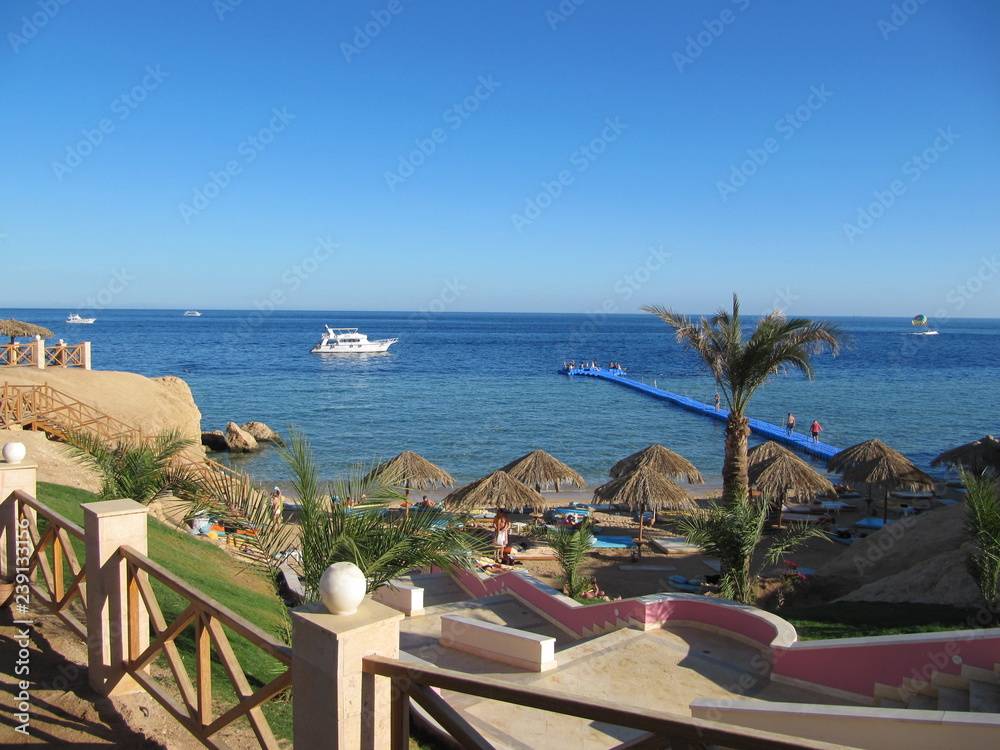 Naklejka premium View from the balcony of the hotel to the beautiful area with palm trees and the Bay with a boat.