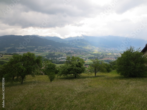 fotos de paisajes varios arboles naturaleza 