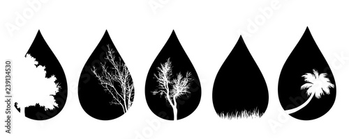 Vector silhouette of set of the tree in the drop on white background.