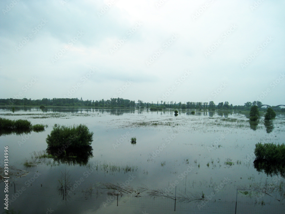 Fototapeta premium spill of rhine