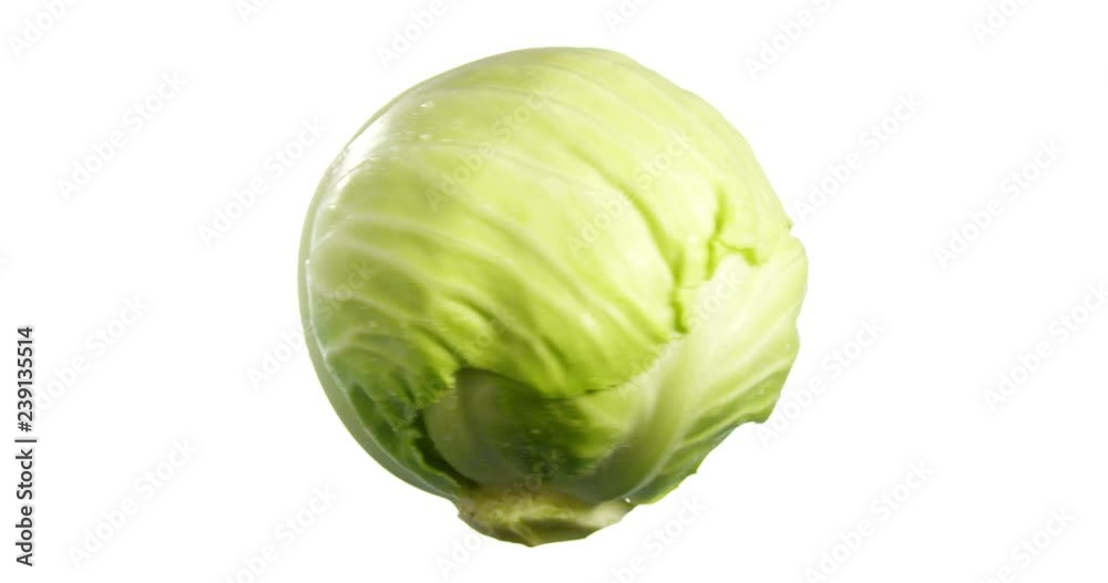 Cabbage Spinning and Rotating Isolated on White Background Food Suspended in the Air Cabbage Spinning and Rotating Isolated on White Background Food Suspended in the Air