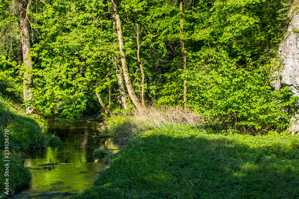 Obraz premium Ojcowski National Park, Poland