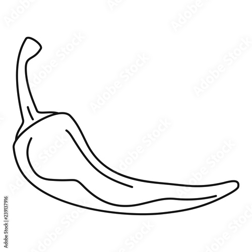 Chilli pepper icon. Outline chilli pepper vector icon for web design isolated on white background