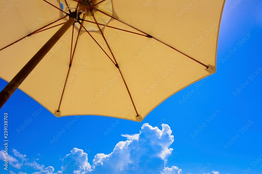 umbrella on background of blue sky