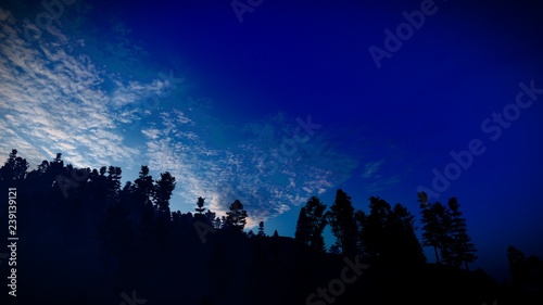 Forest in the mountains at dusk 3d rendering © satori