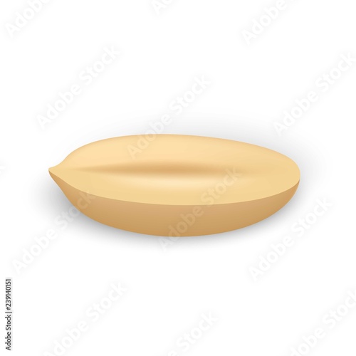 Half clean peanut icon. Realistic illustration of half clean peanut vector icon for web design