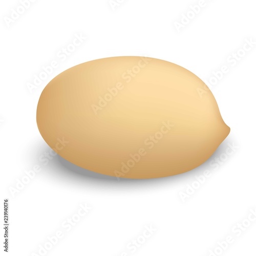 Clean peanut icon. Realistic illustration of clean peanut vector icon for web design