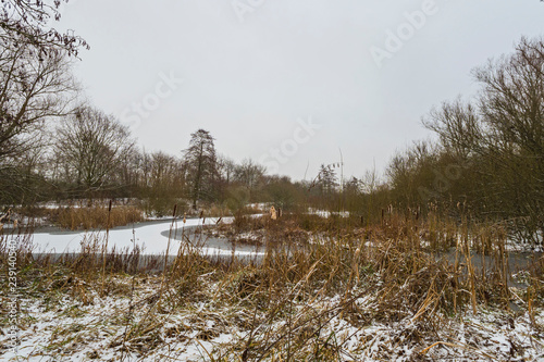 Wallpaper Mural Cold winter day snow muenster germany outdoor Torontodigital.ca
