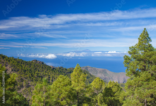 Gran Canaria, December photo