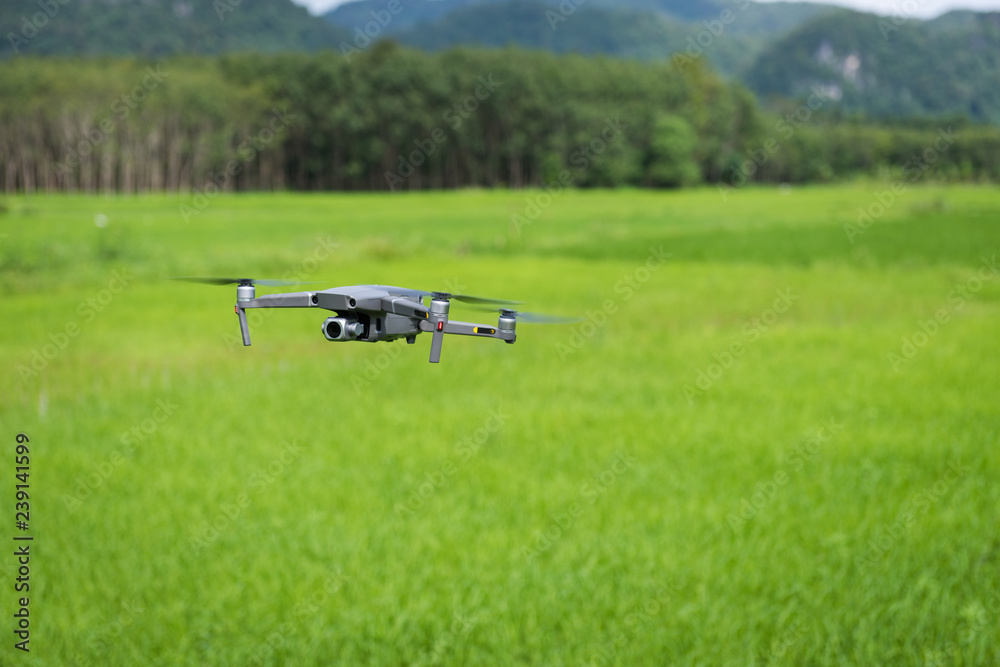 Drone on the rice fields with copy space Drone on the rice fields with copy space