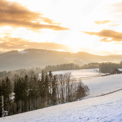 Winterwonderland in Austria