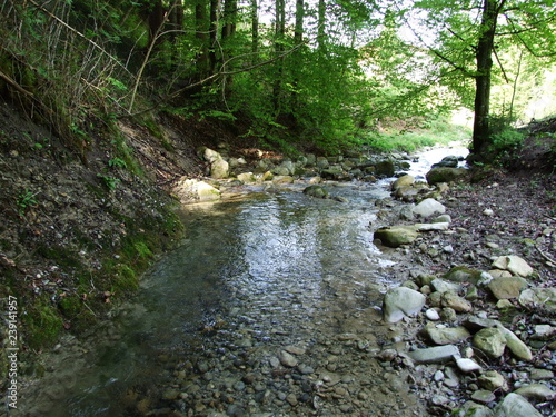 Stream Riserenbach in the village of Zürchersmühle - Canton of Appenzell Ausserrhoden, Switzerland photo