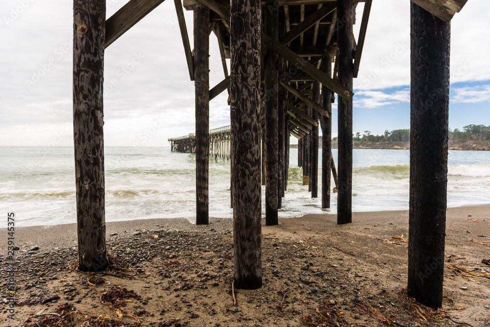 Fototapeta premium The poles under the pier of San Simeon, California, USA