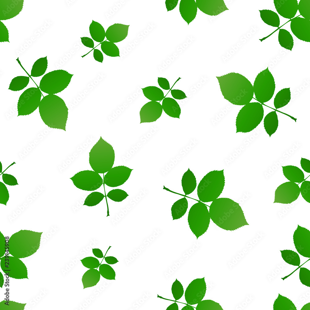 Green poplar sprig with leaves background. Vector illustration.