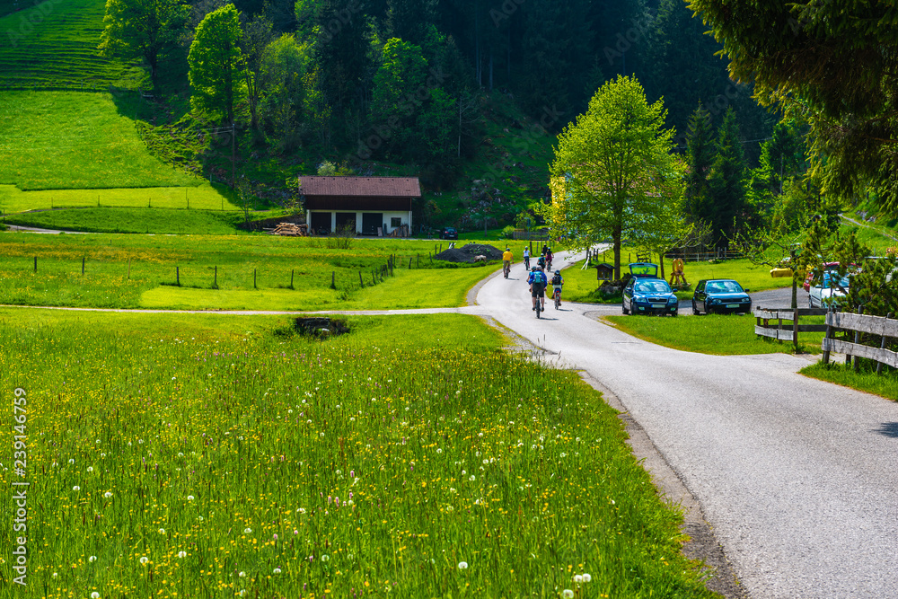Radfahrer auf einer kleinen Straße mit Bäumen und Blumenwiese