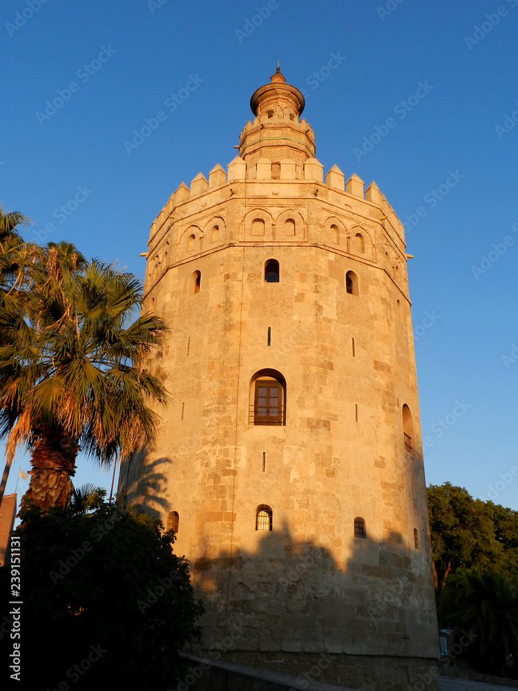 Torre del Oro. Seville, Andalusia, Spain. Palm trees and sunset light, blue sky, sunny day.