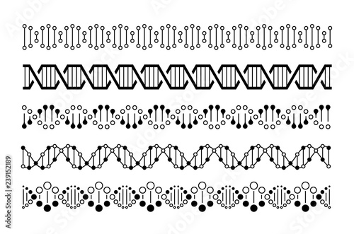 DNA elements. Molecule genome code, chromosome spirals and double helix chains. DNA vector concept isolated on white background