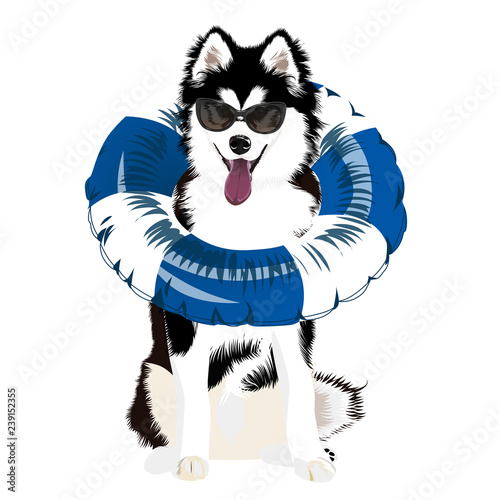 Dog. Swim ring. Inflatable rubber toy. Summertime. Vector illustration. 
