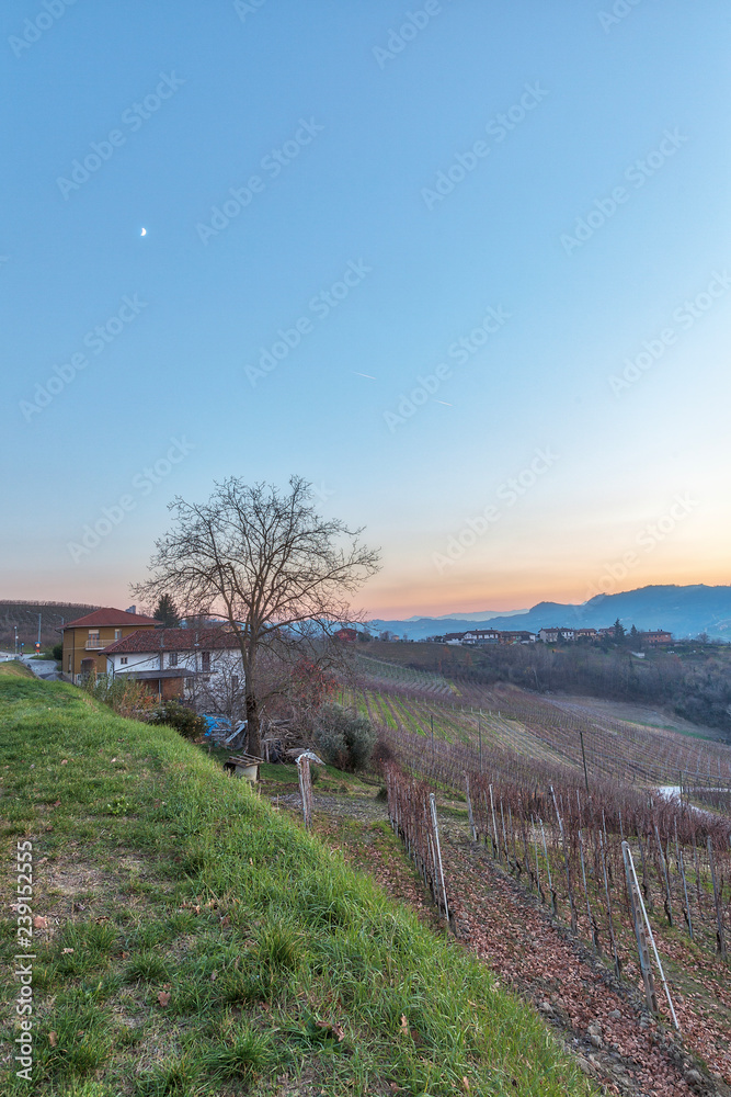 Sunset over the Langhe vineyards. Color image