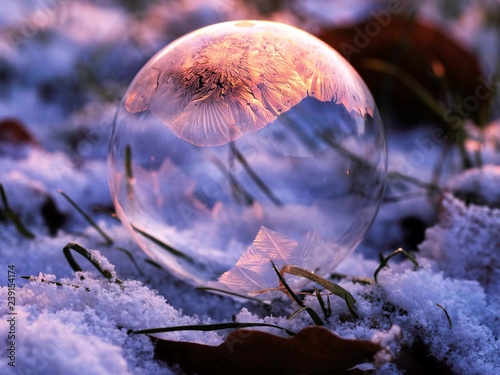 bubble in winter