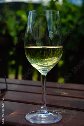 ein glas Weißwein am Heurigentisch vor einem Weingarten unter schönem wolkigen Himme,l a glass of white wine on a background of wineyard and beautiful clouded sky, called heaven in a glass of wine
