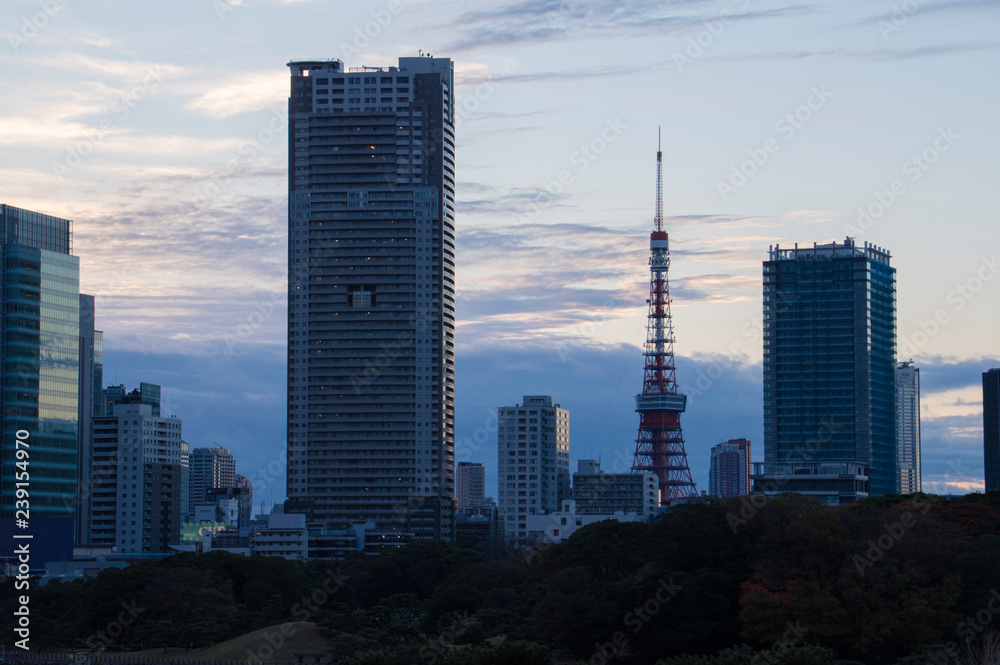 Naklejka premium 夕暮れの東京タワー
