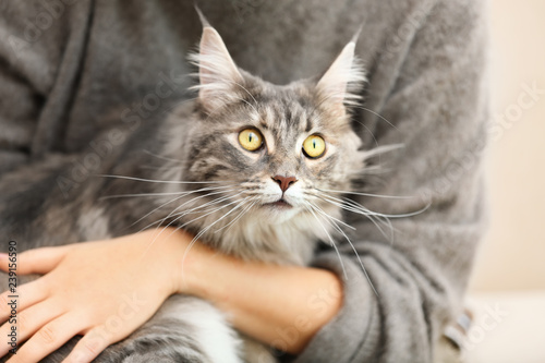 Woman with adorable Maine Coon cat, closeup. Home pet