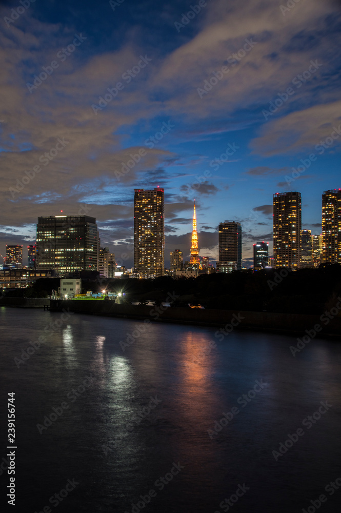 Fototapeta 夕暮れの東京タワー