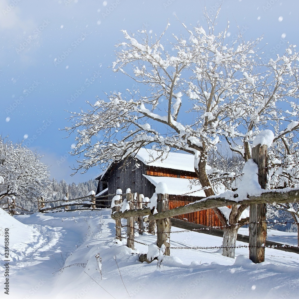 stunning winter landscape, wooden houses in hutzul ukrainian village, spectacular frosty sunny weather, amazing rural nature scenery, Carpathian mountains, Ukraine, Europe stunning winter landscape, wooden houses in hutzul ukrainian village, spectacular frosty sunny weather, amazing rural nature scenery, Carpathian mountains, Ukraine, Europe