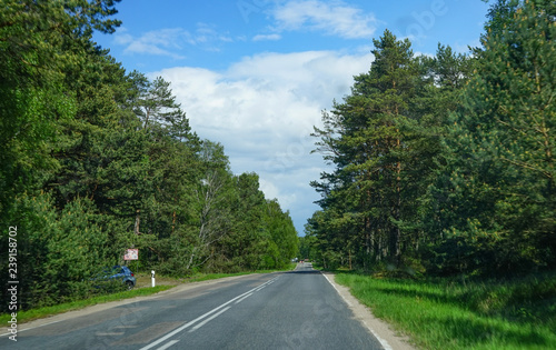 Landscape with the road to the Curonian spit, Kaliningrad region.