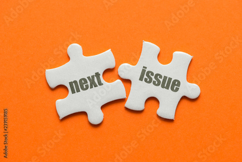 Εκτύπωση καμβά The word Next issue on two matching puzzle on orange background