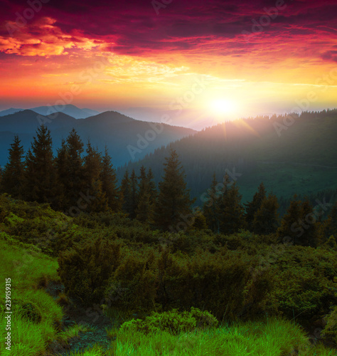 fabulous summer dawn landscape, spectacular morning colorful image, mountains hill covered forest on background dramatic sky and sunrise, awesome nature scenery, Ukraine, Europe