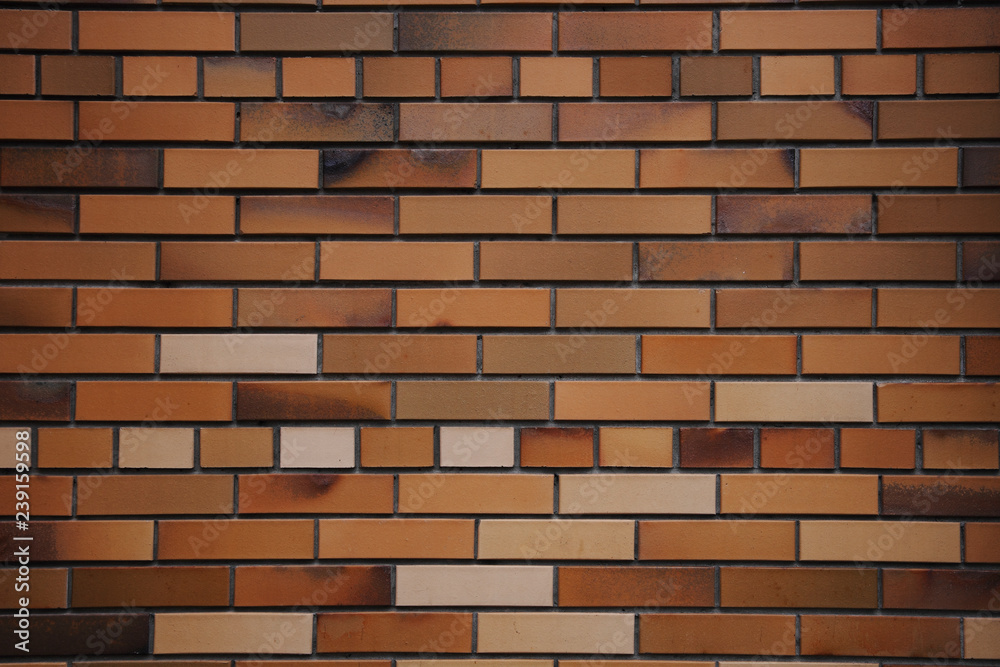 Obraz premium Wall