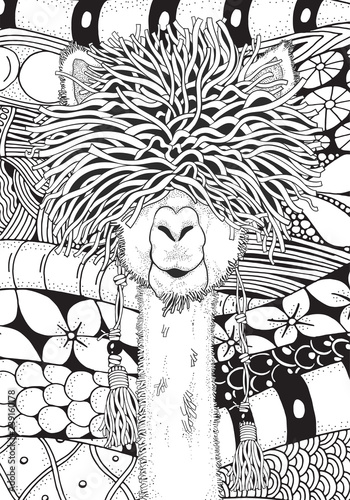 Coloring Book page for Adult and children. A4 Llama in zentangle style. Black and white monochrome background. Doodle hand-drawn.