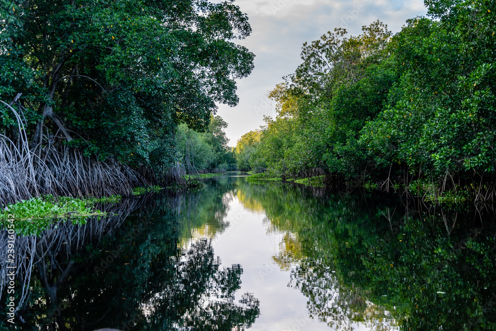 Guatemalan river