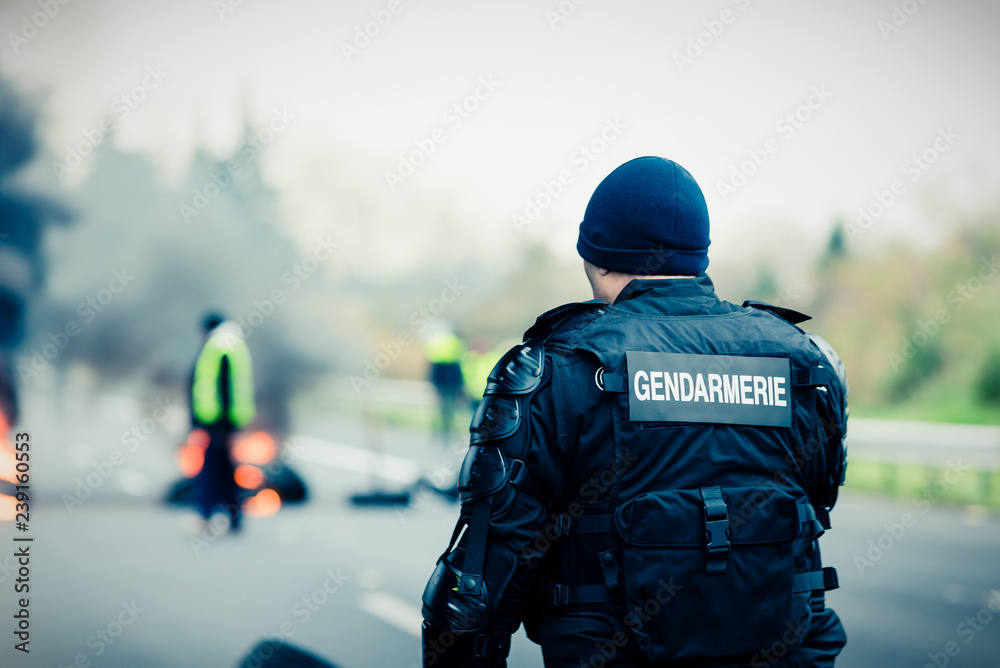 Gendarme vu de dos lors d'une manifestation avec feu de pneus Gendarme vu de dos lors d'une manifestation avec feu de pneus