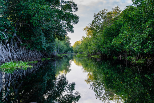 Guatemalan river