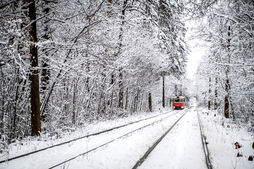 Bright tram rides through the snow-covered forest among the pines.