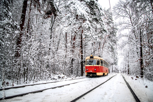 Tram rides through the snow-covered forest.