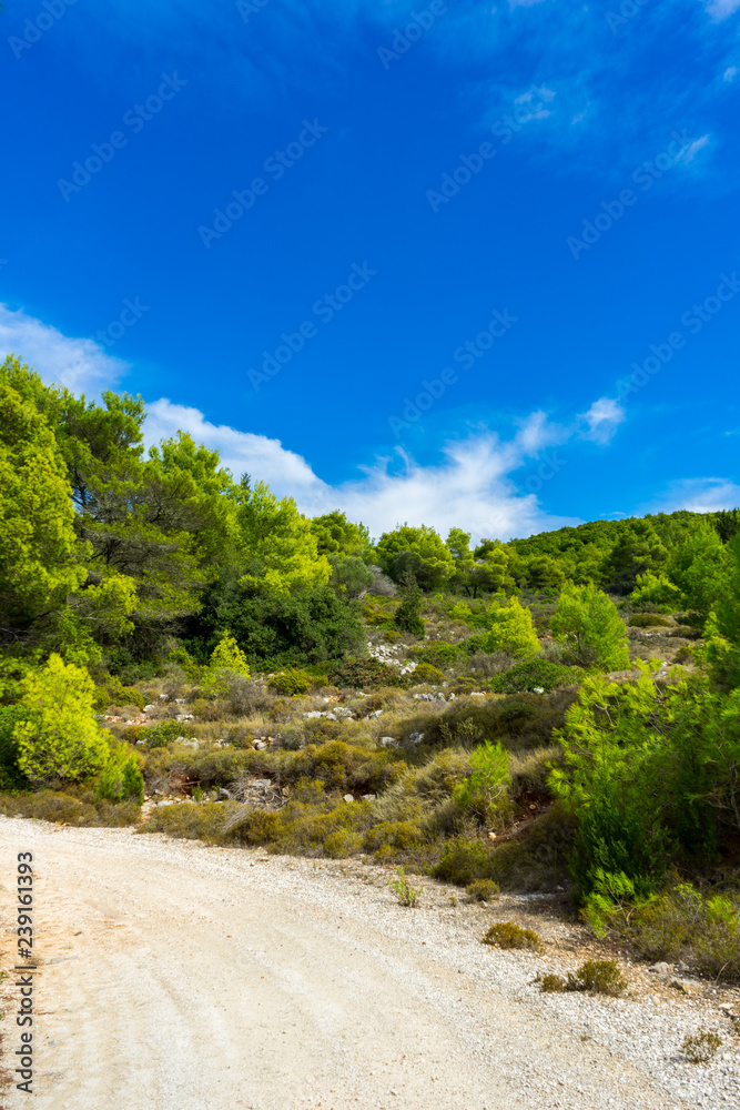 Greece, Zakynthos, Blue sky over green nature landscape and curved hiking trail Greece, Zakynthos, Blue sky over green nature landscape and curved hiking trail